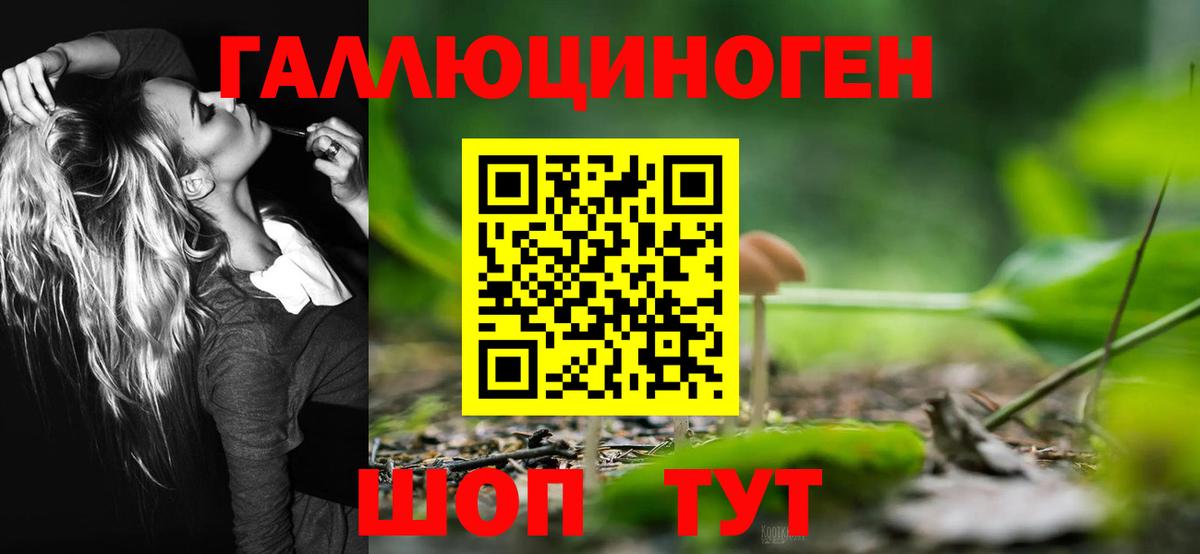 Псилоцибиновые грибы прущие грибы  закладка  Азов  Вход с VPN  Галлюциногенные грибы MAGIC MUSHROOMS 